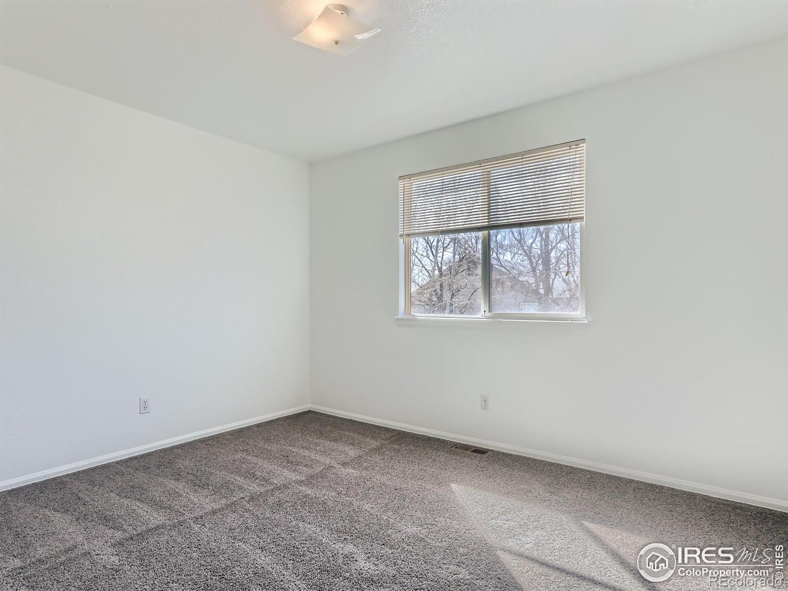 MLS Image #20 for 4116  thorndyke place,broomfield, Colorado