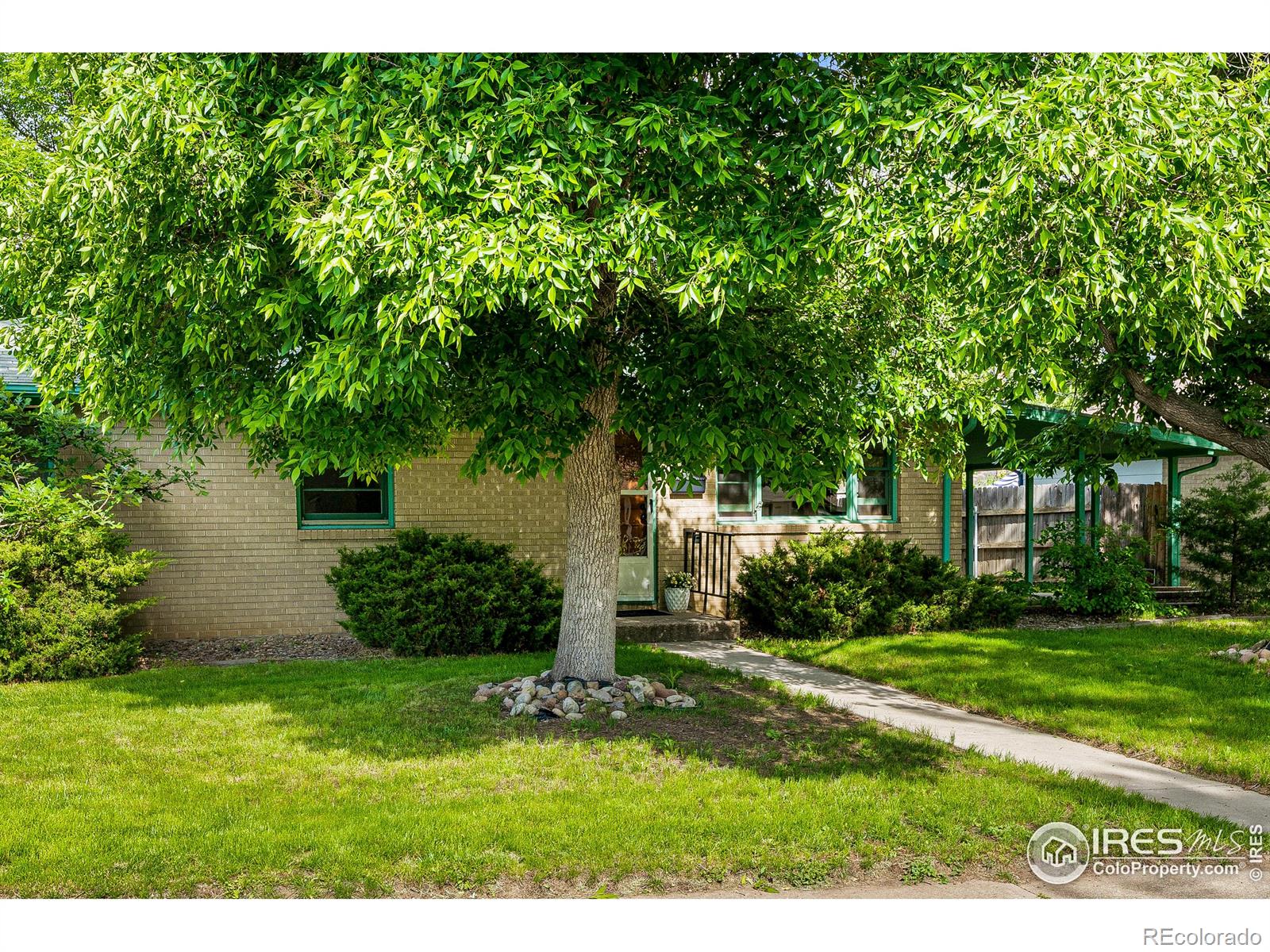 MLS Image #3 for 1136  grant street,longmont, Colorado