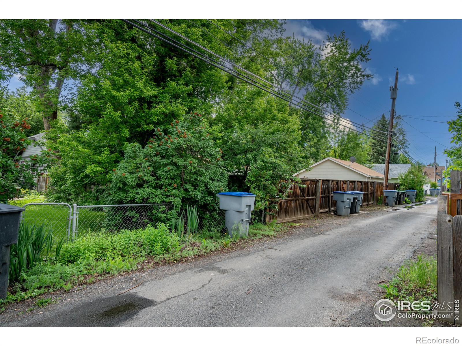 MLS Image #28 for 343  sherman street,longmont, Colorado