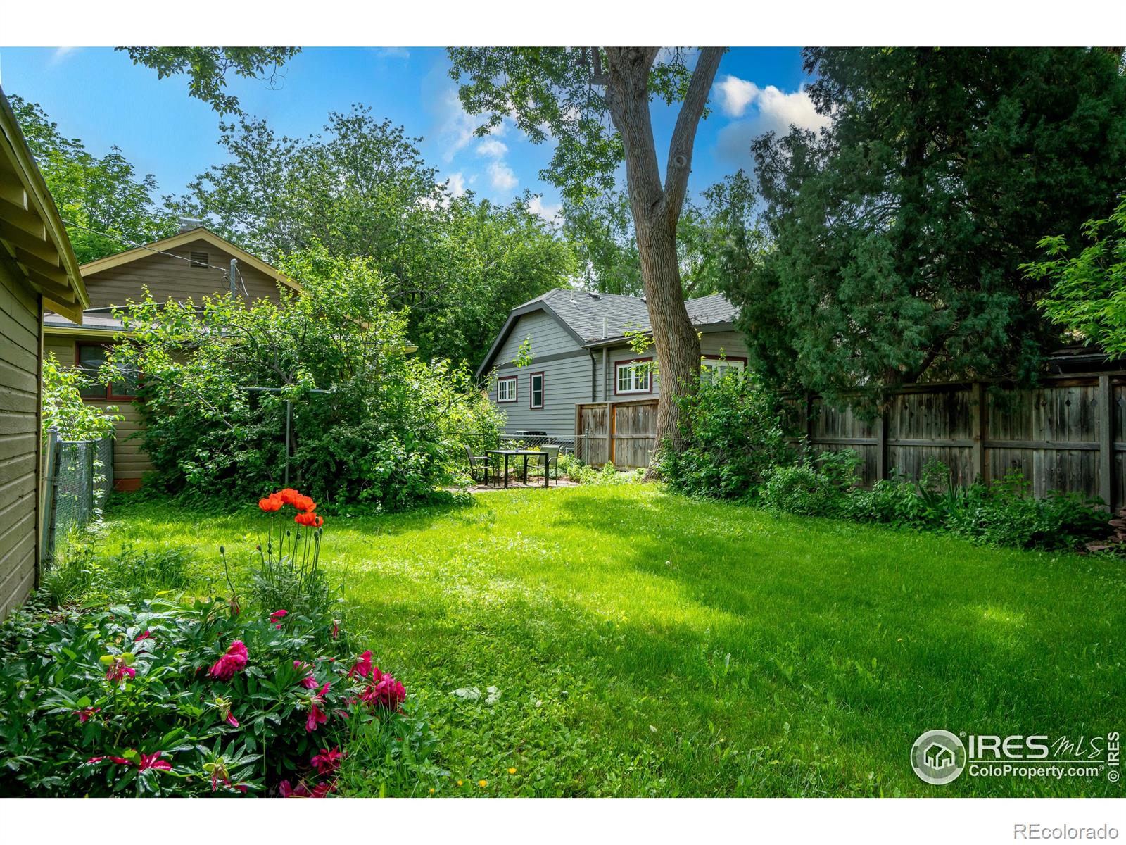 MLS Image #4 for 343  sherman street,longmont, Colorado