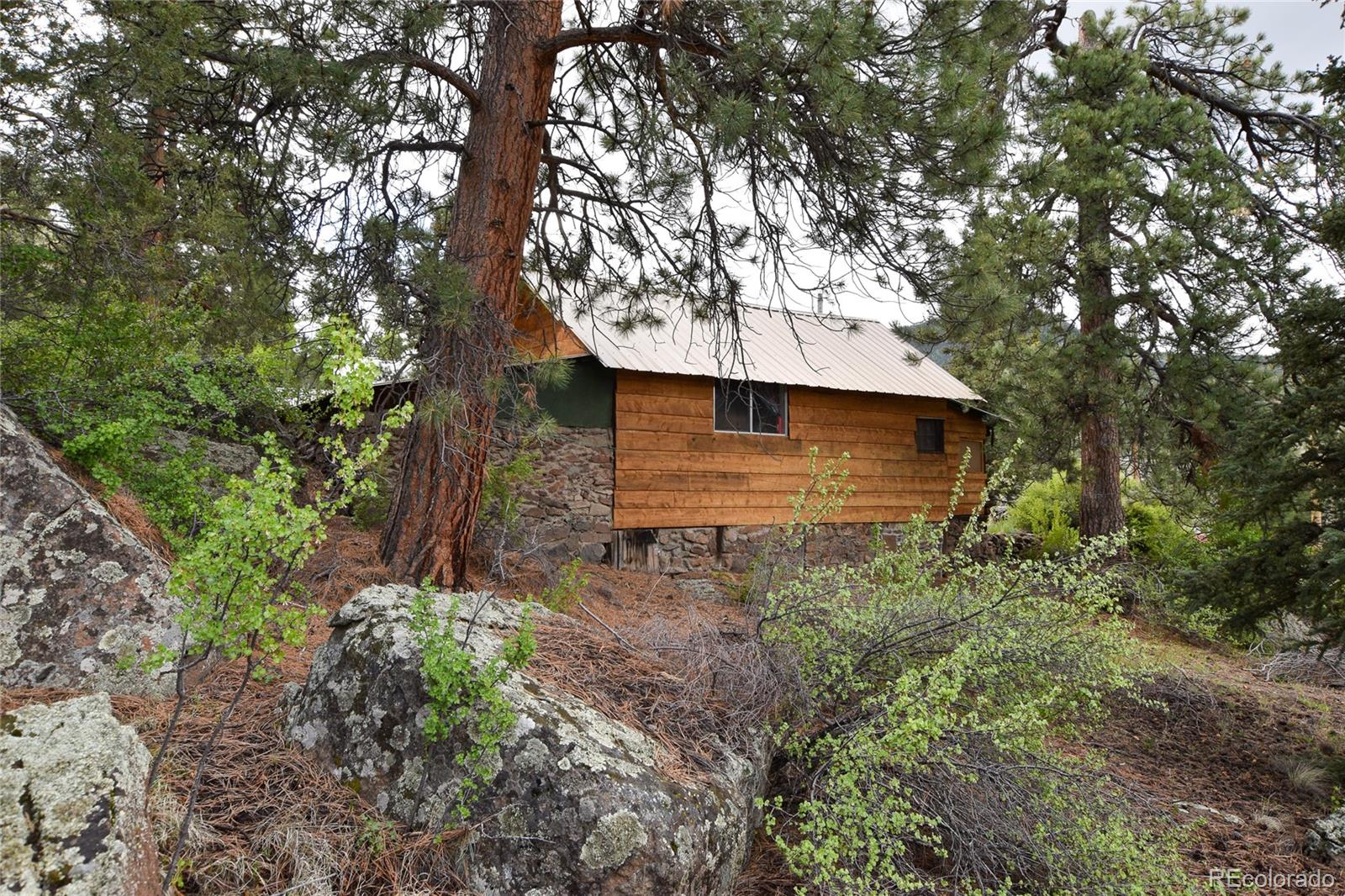 MLS Image #3 for 62  mt moriah road,south fork, Colorado