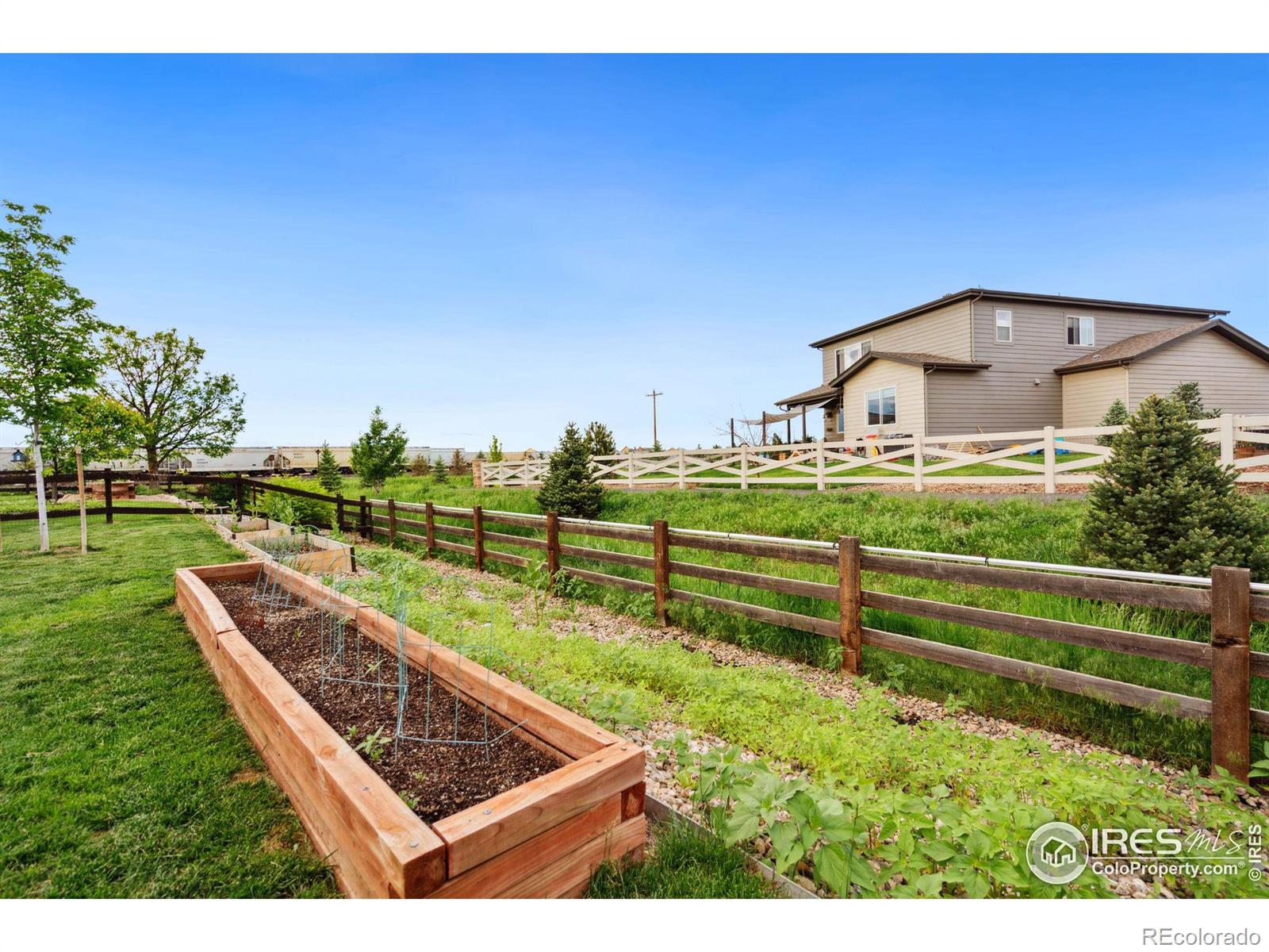 MLS Image #29 for 538  winnipeg court,fort collins, Colorado