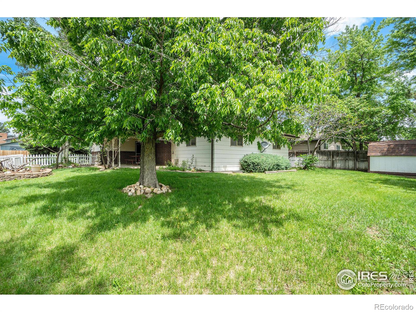 MLS Image #8 for 717  oak street,windsor, Colorado