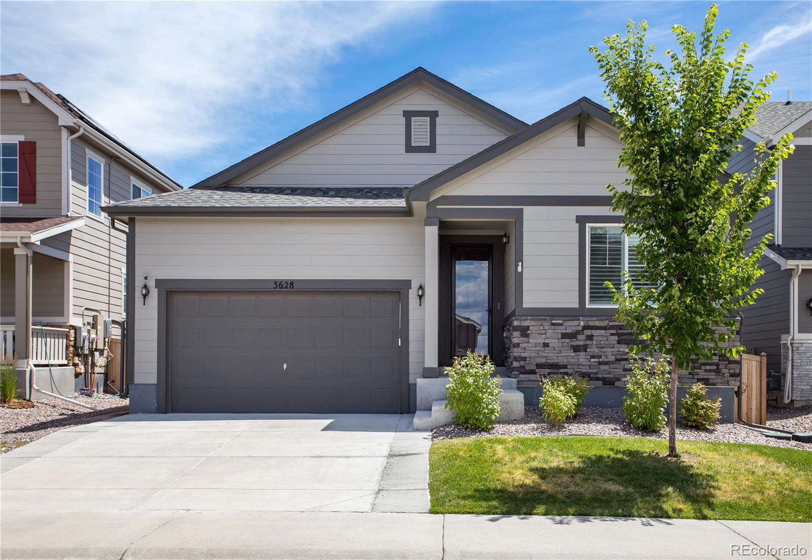 Report Image for 3628  White Rose Loop,Castle Rock, Colorado