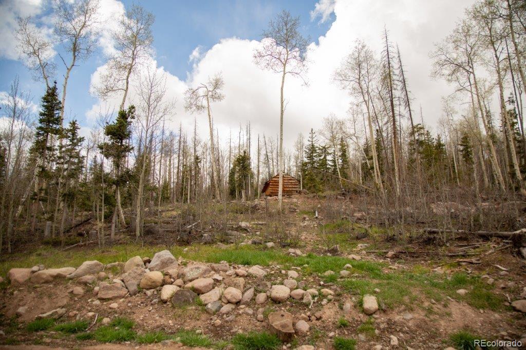 MLS Image #0 for 5353  forest road 504 ,creede, Colorado