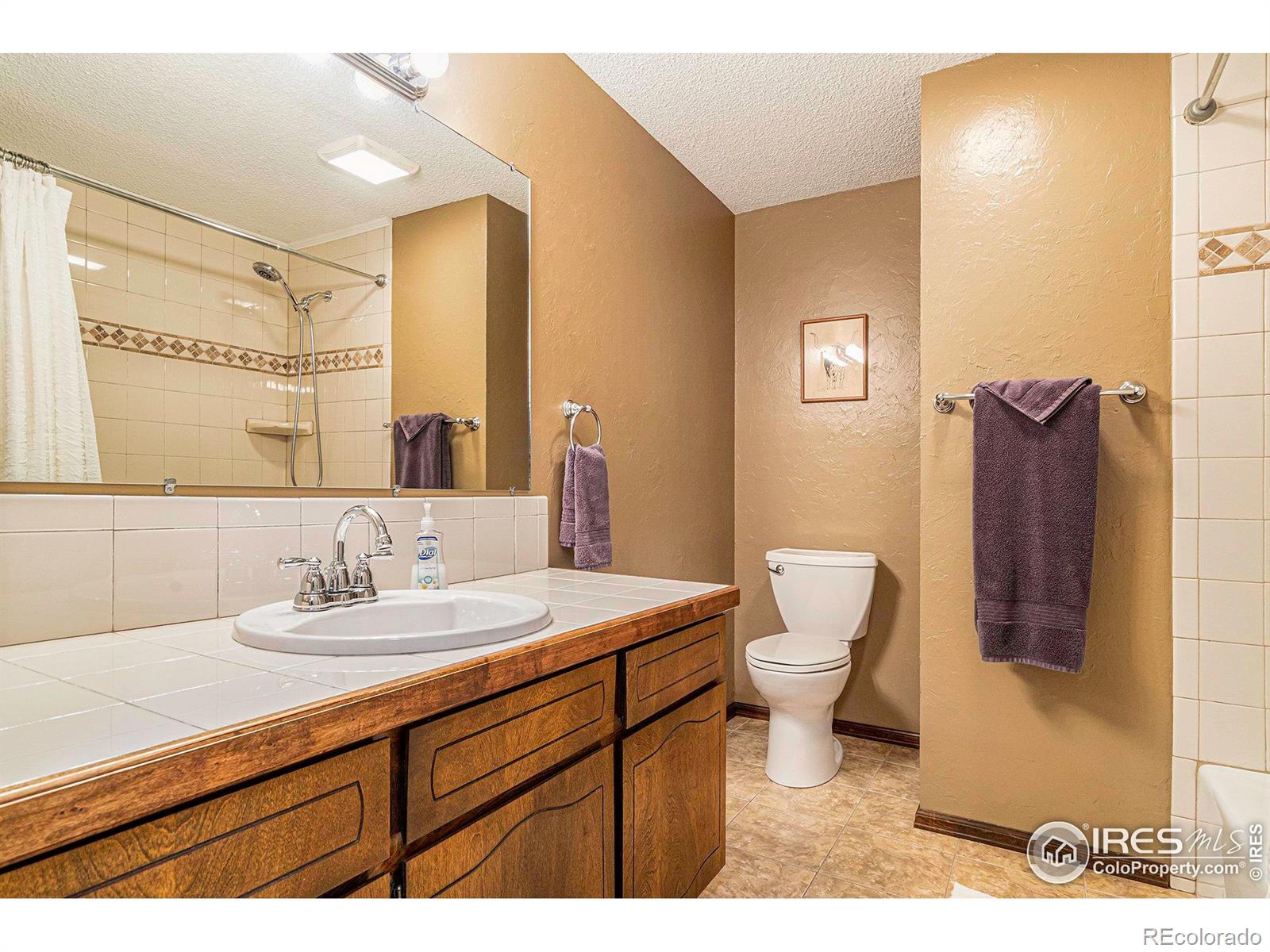 MLS Image #21 for 2731  glendevey drive,loveland, Colorado