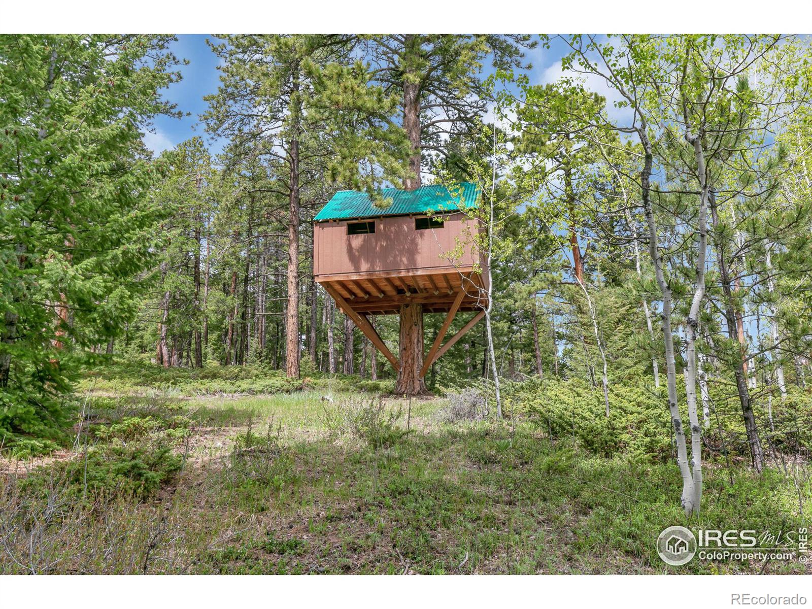 MLS Image #34 for 579  primos road,boulder, Colorado