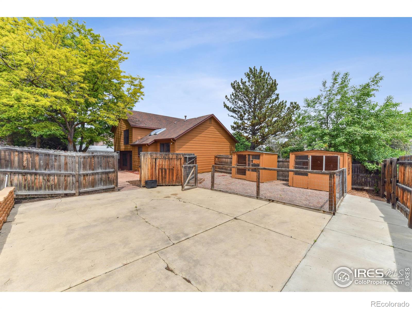 MLS Image #8 for 10494  hobbit lane,westminster, Colorado