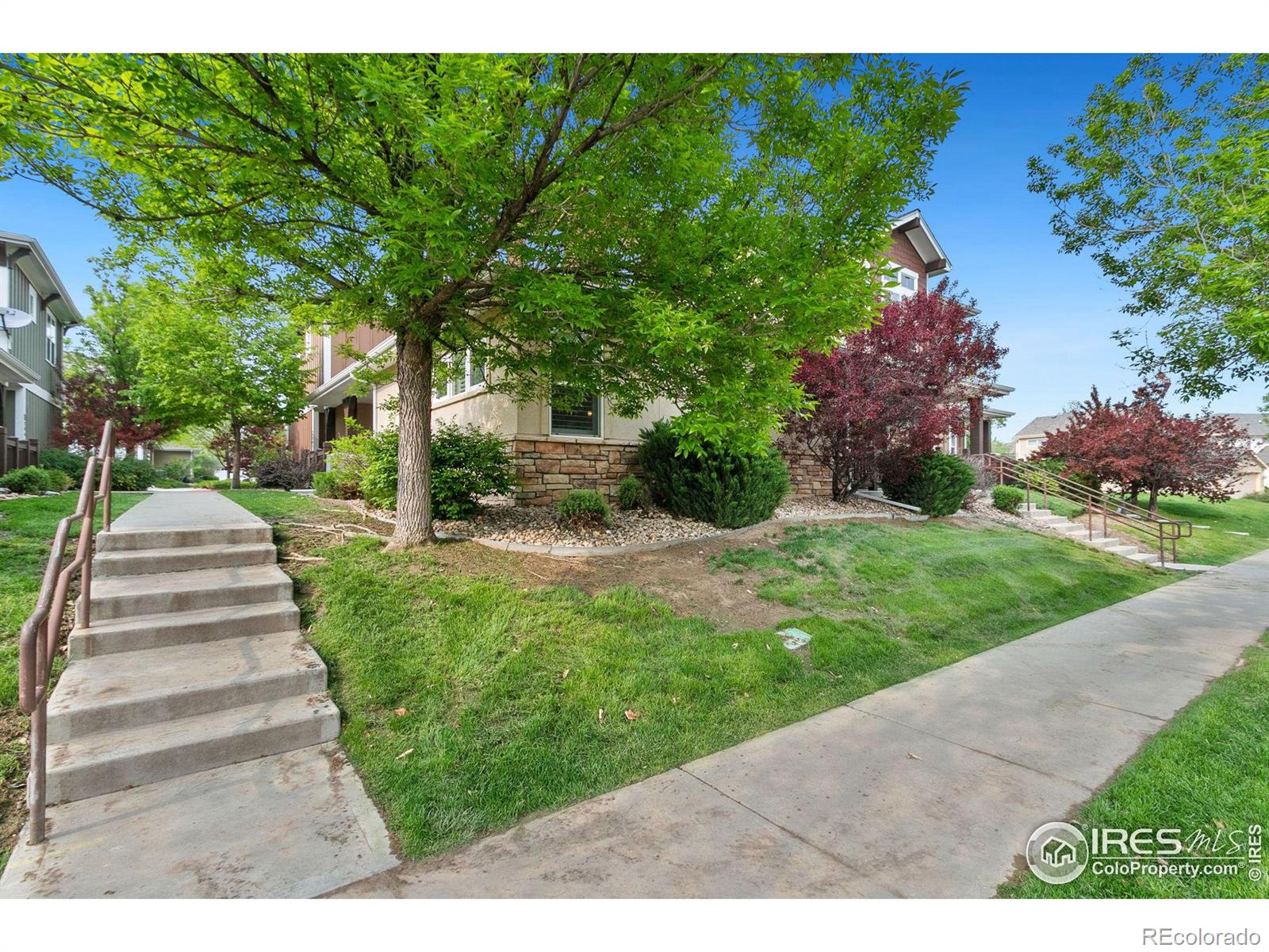 MLS Image #18 for 5850  dripping rock lane,fort collins, Colorado