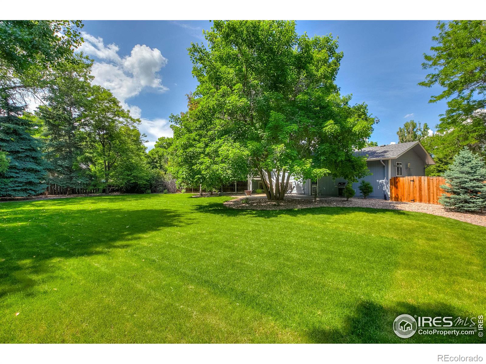 MLS Image #34 for 1501  shadow mountain court,fort collins, Colorado