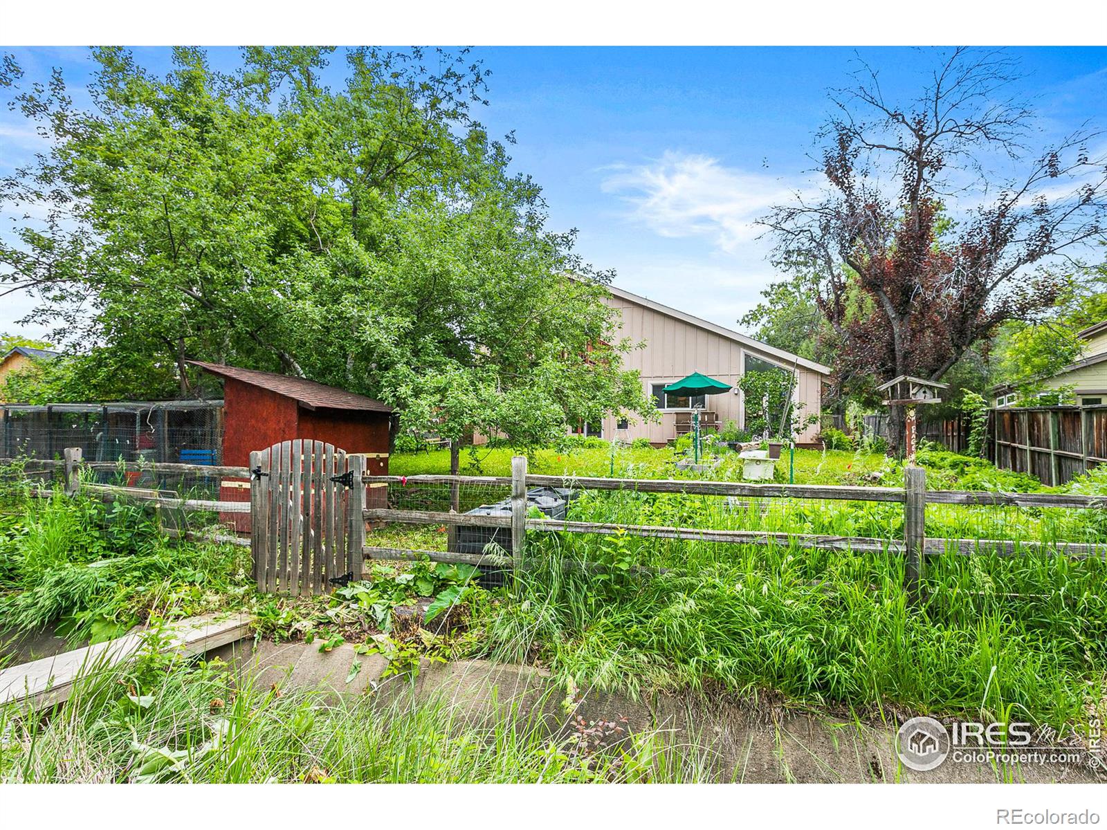 MLS Image #37 for 3882  wonderland hill avenue,boulder, Colorado