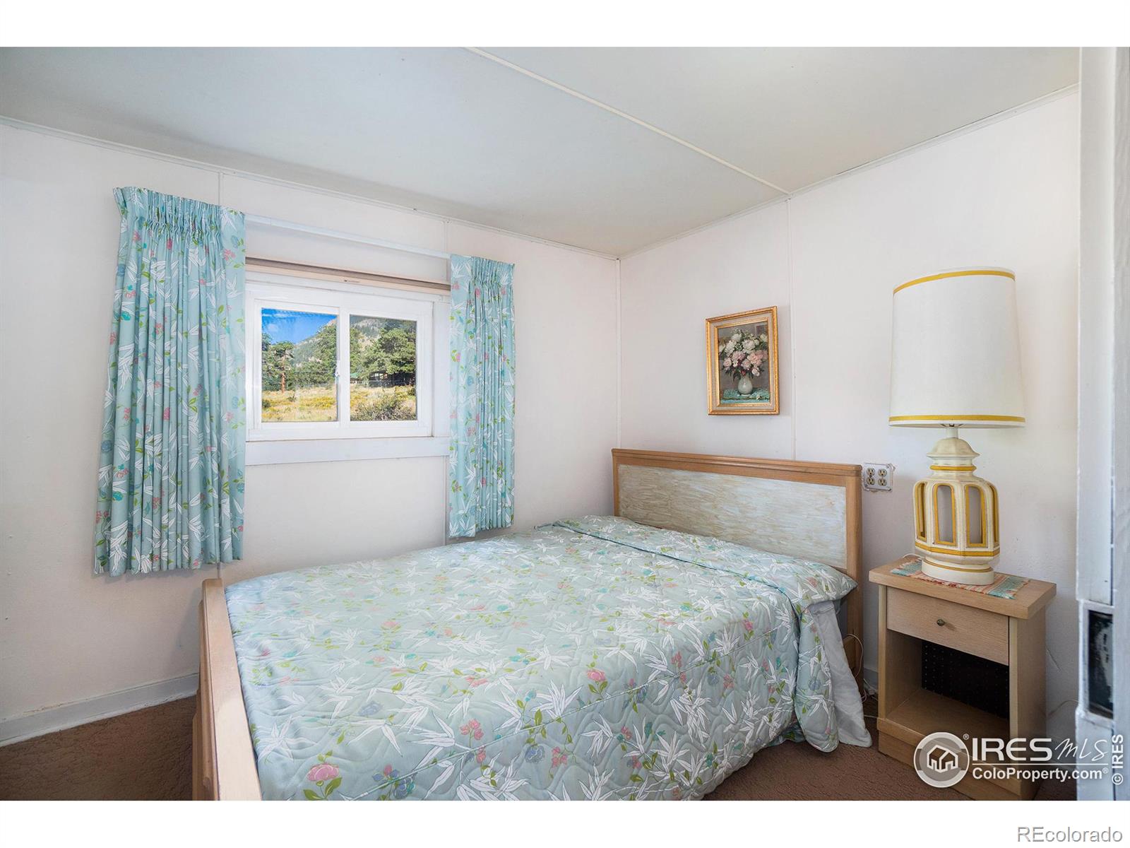 MLS Image #9 for 1751  high drive,estes park, Colorado