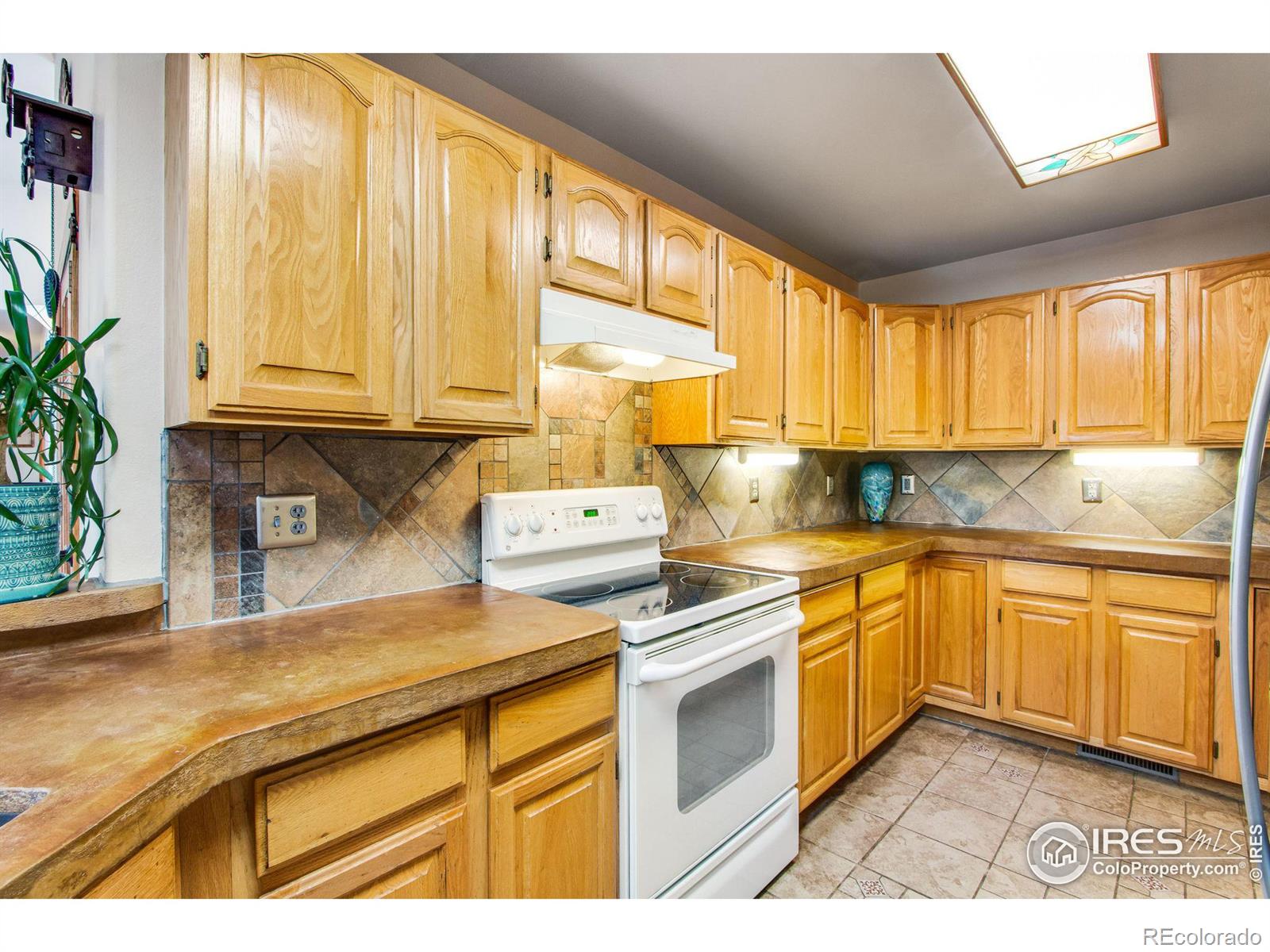 MLS Image #11 for 1401  redwood court,windsor, Colorado