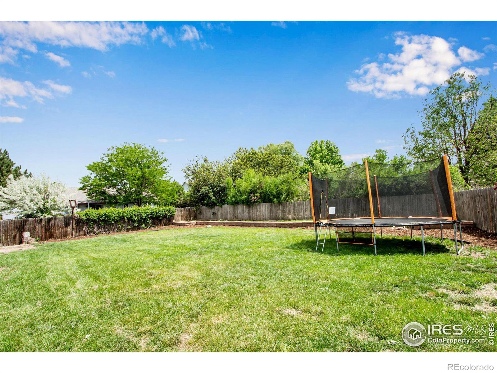 MLS Image #36 for 1401  redwood court,windsor, Colorado