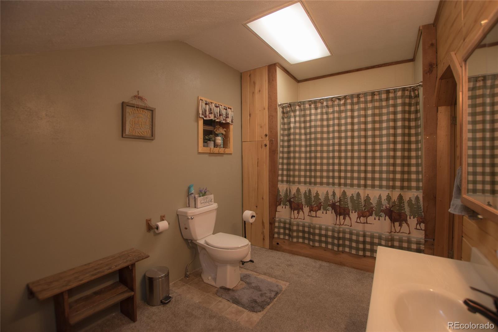 MLS Image #18 for 243  ouray road,south fork, Colorado
