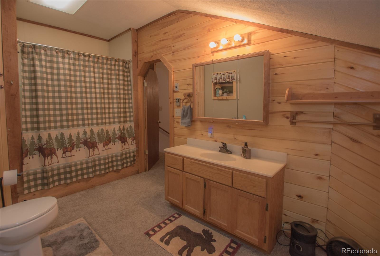 MLS Image #19 for 243  ouray road,south fork, Colorado
