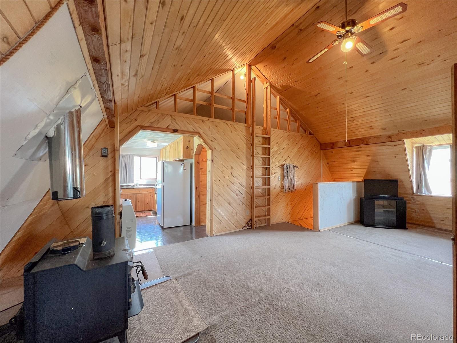 MLS Image #25 for 243  ouray road,south fork, Colorado
