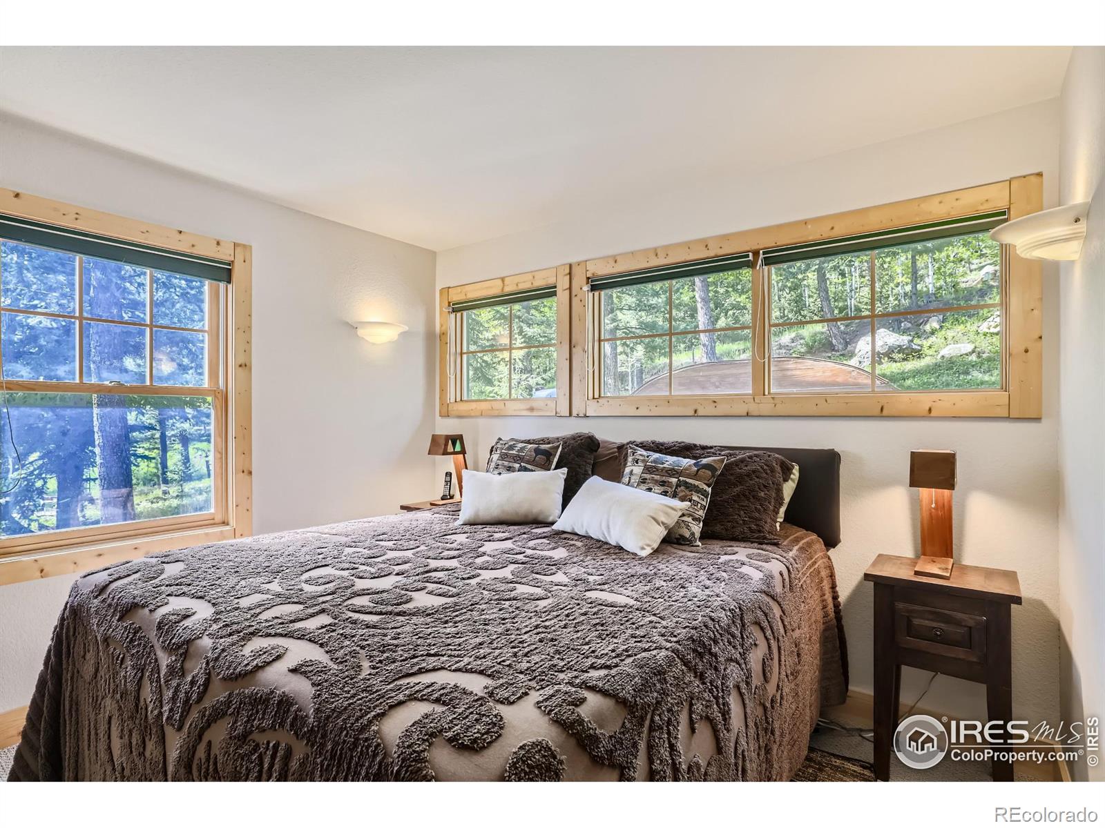 MLS Image #10 for 21  meadow lake drive,lyons, Colorado