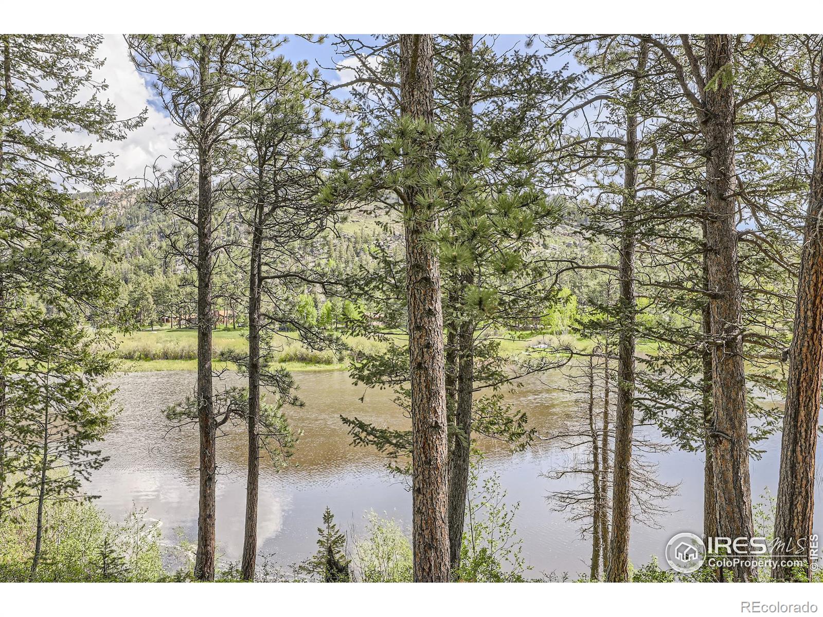 MLS Image #23 for 21  meadow lake drive,lyons, Colorado