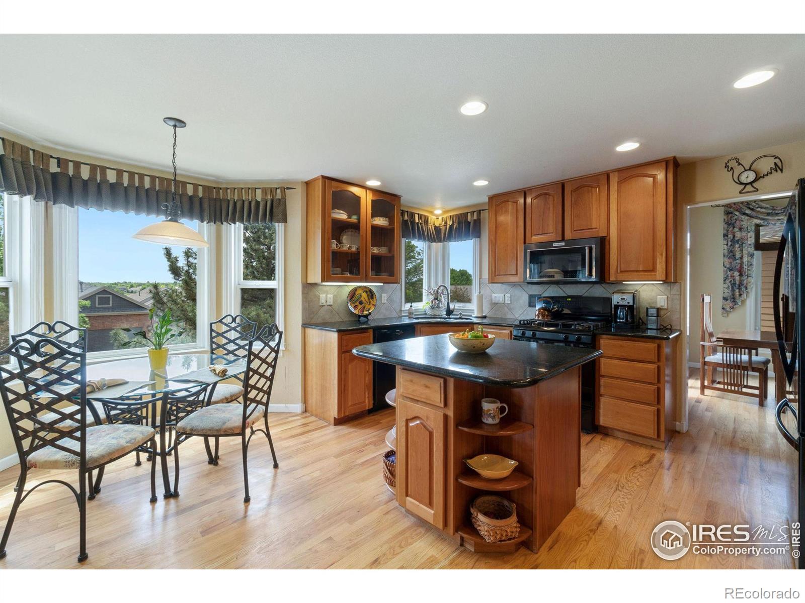 MLS Image #10 for 1033  pinnacle place,fort collins, Colorado