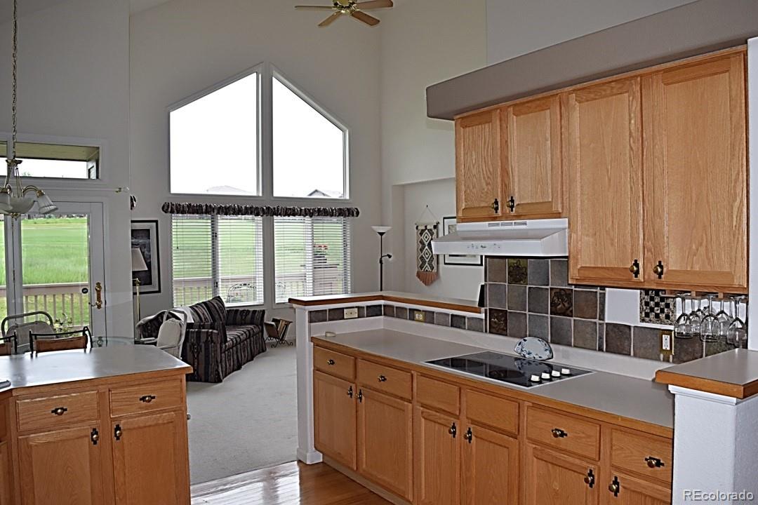 MLS Image #10 for 15941  deer ridge drive,morrison, Colorado