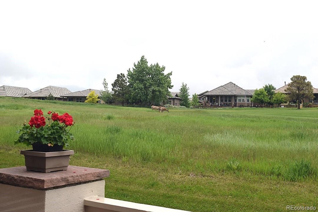 MLS Image #22 for 15941  deer ridge drive,morrison, Colorado