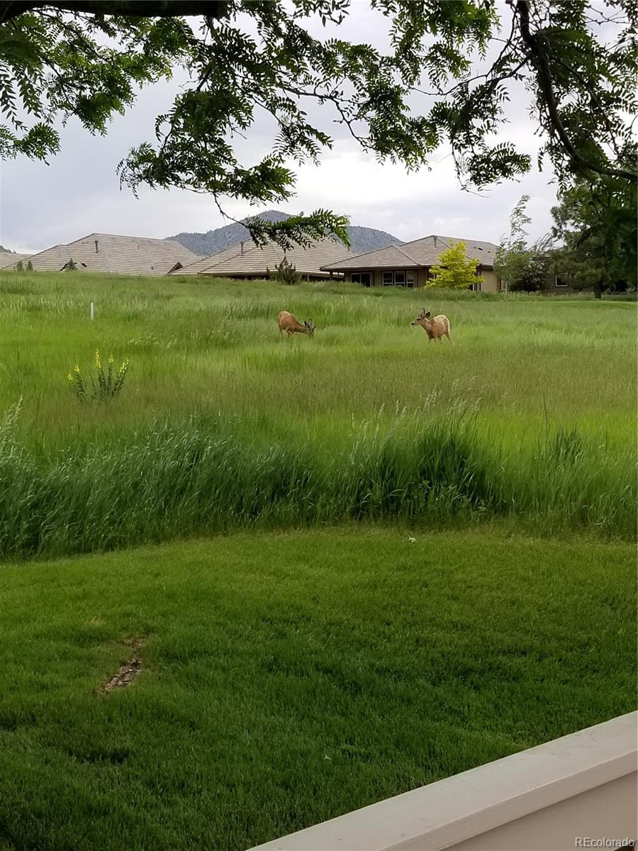 MLS Image #24 for 15941  deer ridge drive,morrison, Colorado