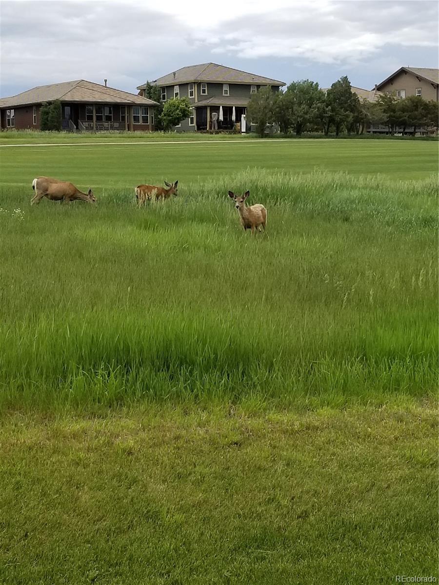 MLS Image #25 for 15941  deer ridge drive,morrison, Colorado