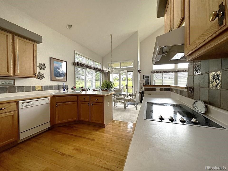 MLS Image #7 for 15941  deer ridge drive,morrison, Colorado