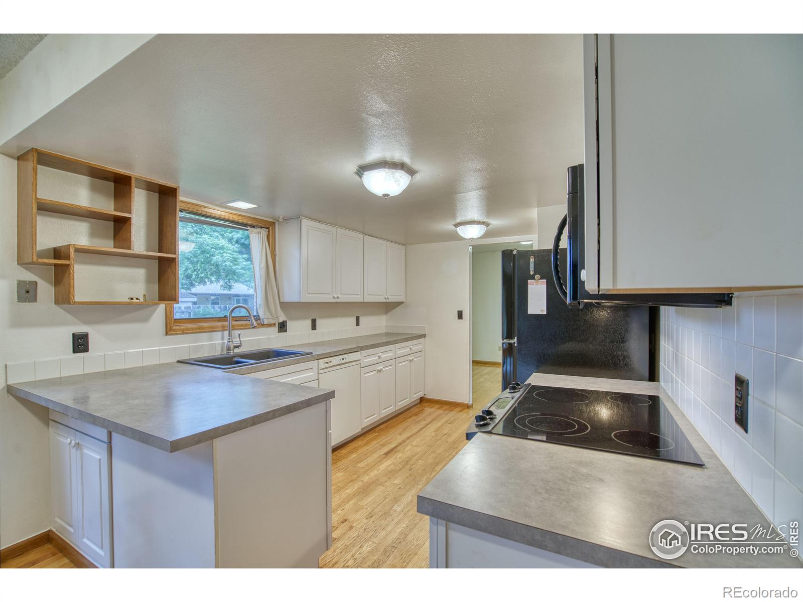 MLS Image #11 for 1428 s terry street,longmont, Colorado