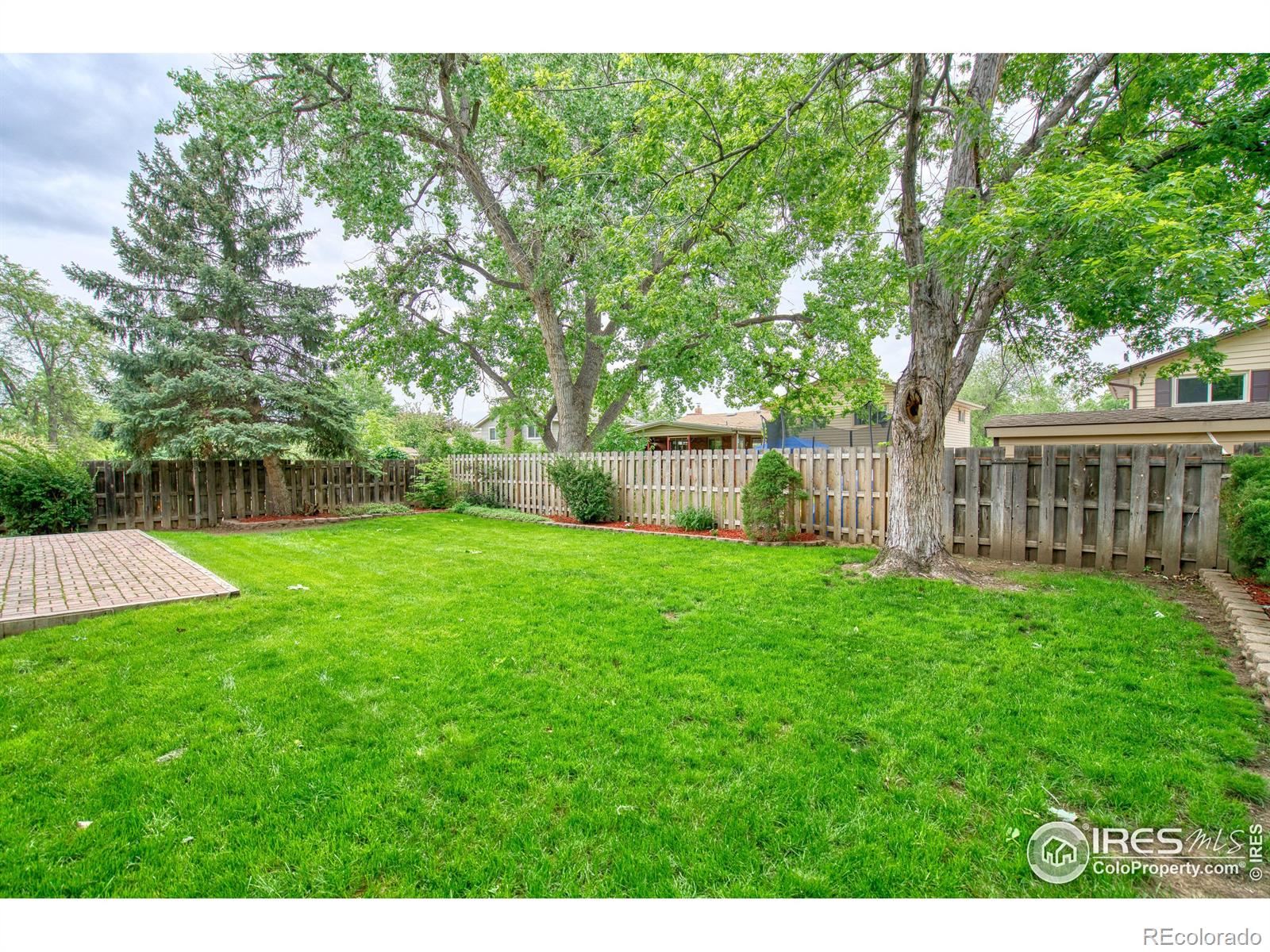 MLS Image #29 for 1428 s terry street,longmont, Colorado