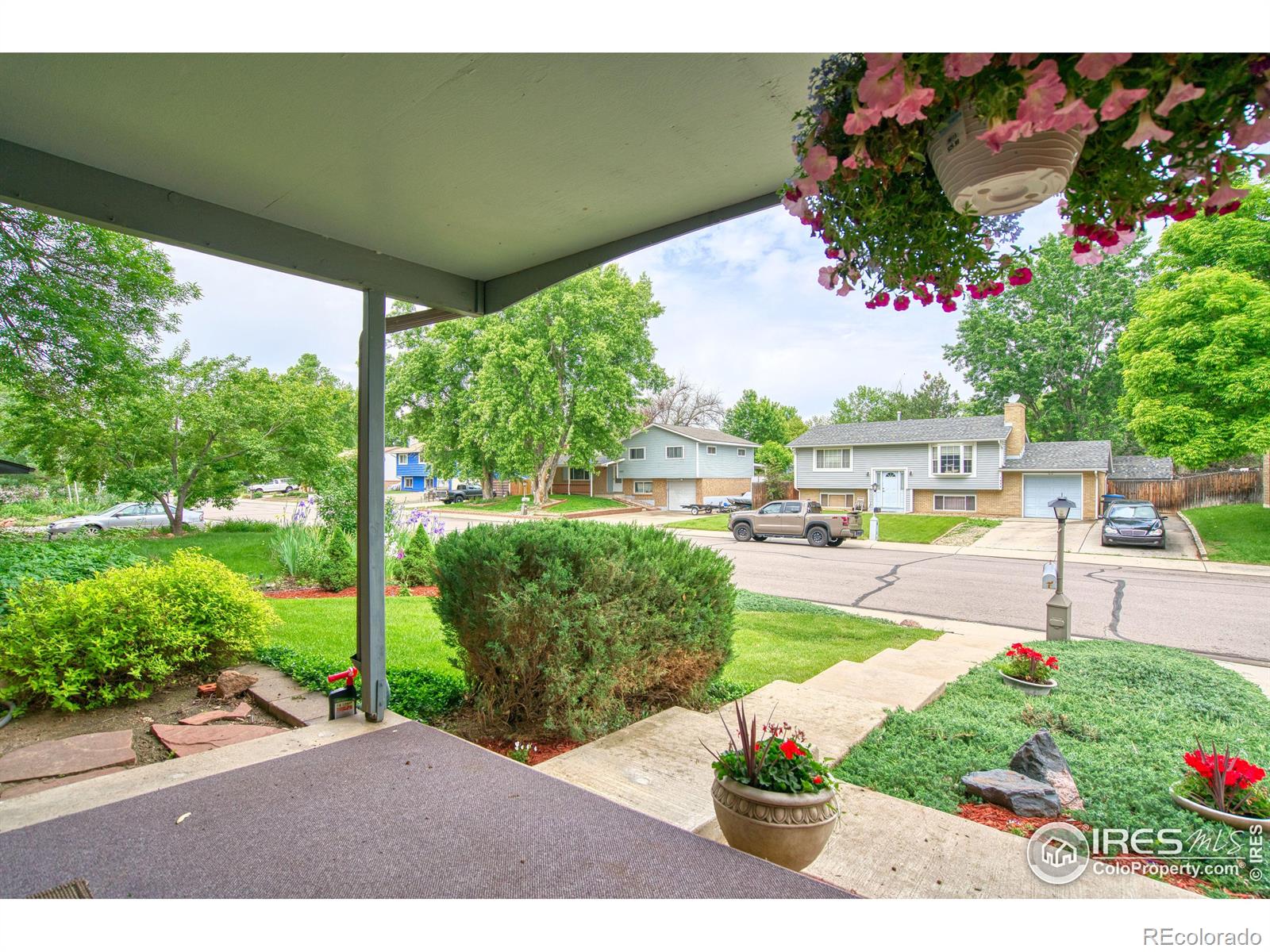 MLS Image #3 for 1428 s terry street,longmont, Colorado