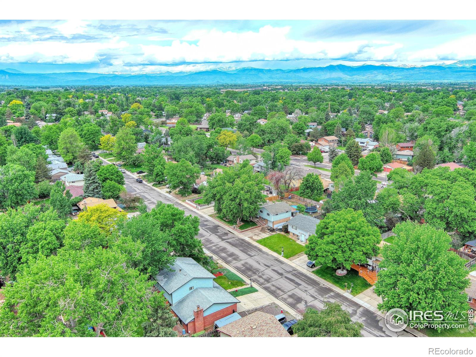 MLS Image #30 for 1428 s terry street,longmont, Colorado