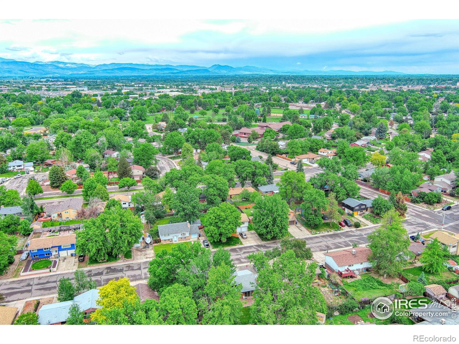 MLS Image #31 for 1428 s terry street,longmont, Colorado