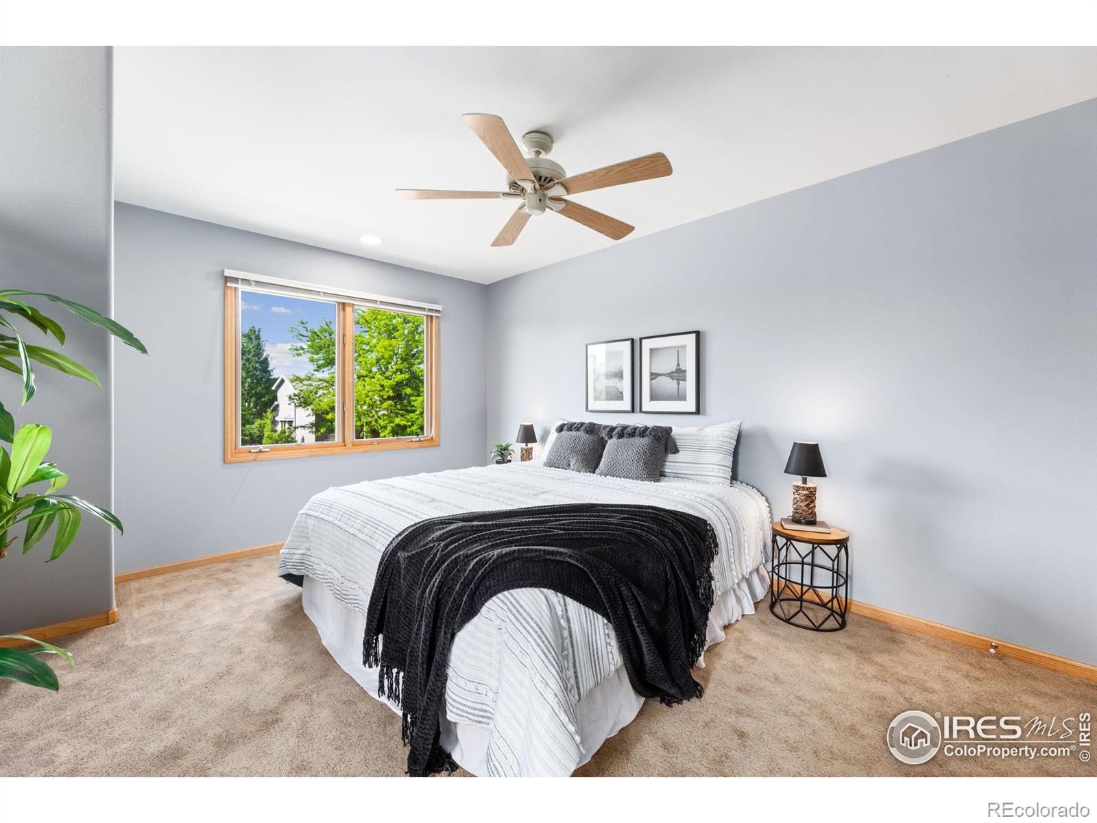 MLS Image #21 for 2306  stonecrest drive,fort collins, Colorado