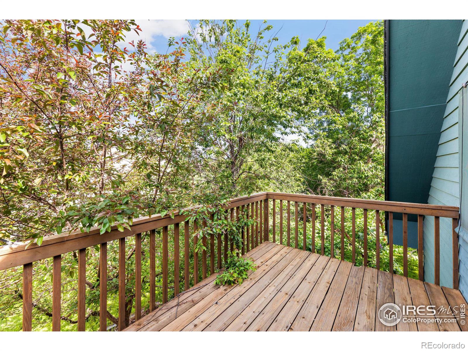 MLS Image #28 for 2306  stonecrest drive,fort collins, Colorado