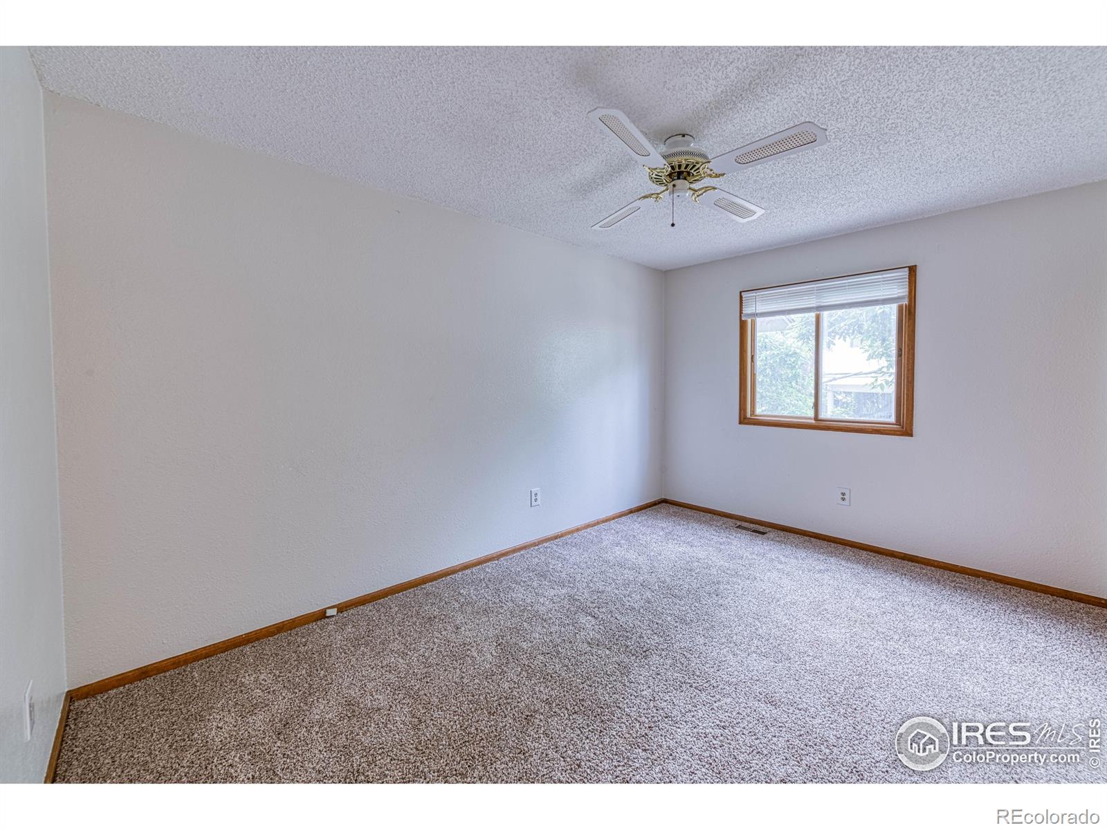 MLS Image #13 for 1230  hunter court,longmont, Colorado