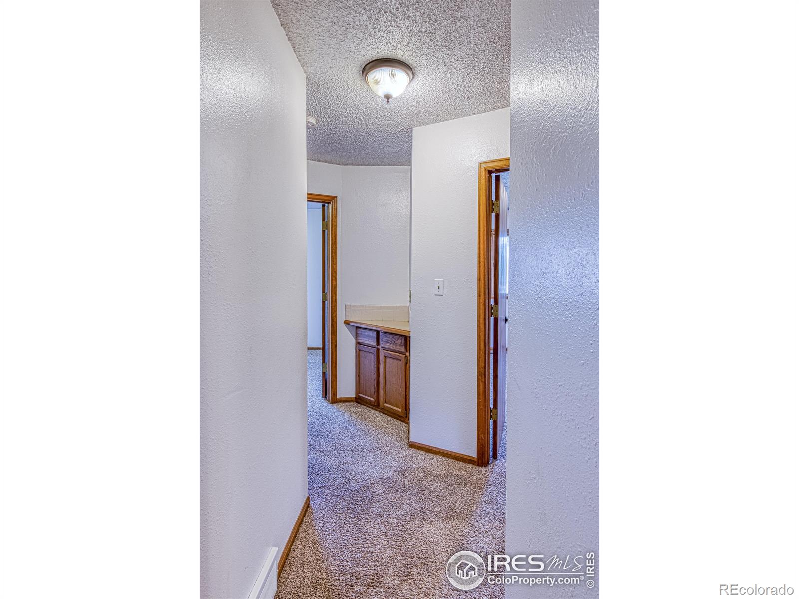 MLS Image #8 for 1230  hunter court,longmont, Colorado