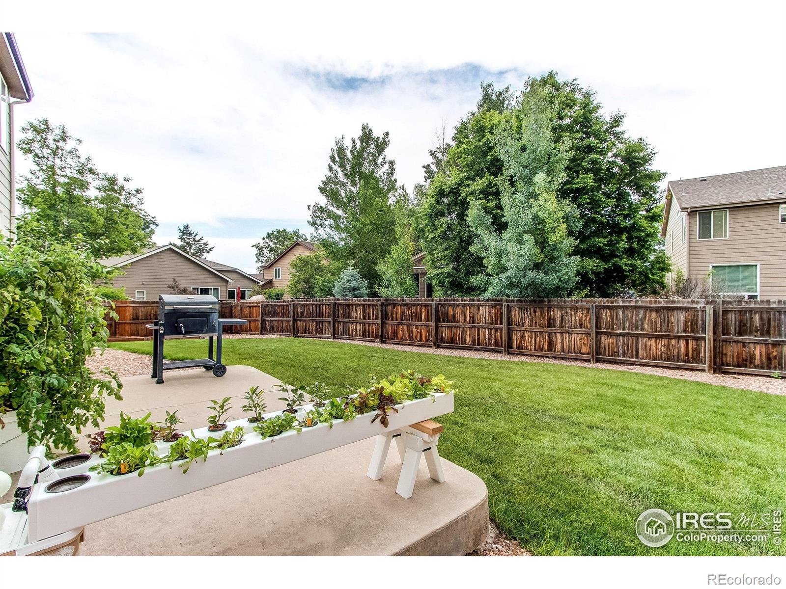 MLS Image #34 for 1853  williams court,erie, Colorado