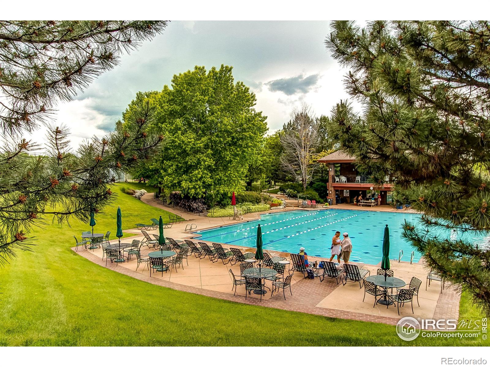 MLS Image #37 for 1853  williams court,erie, Colorado