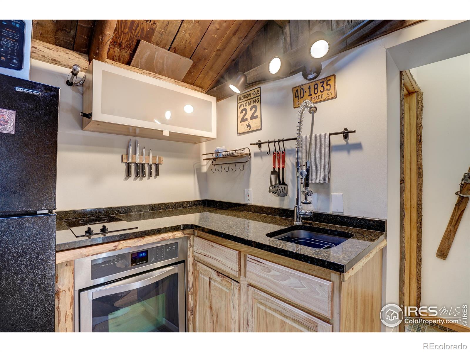 MLS Image #21 for 1634  caribou road,nederland, Colorado