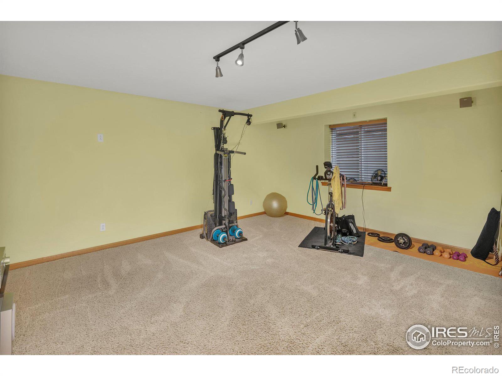 MLS Image #20 for 1338  waterwood drive,windsor, Colorado