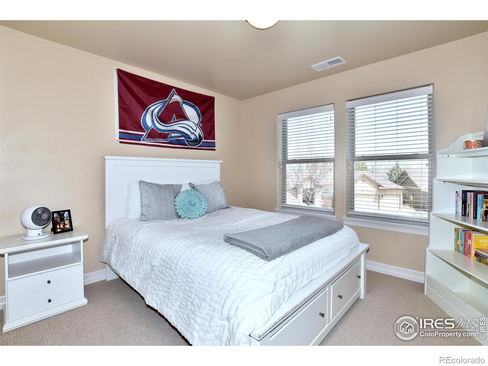 MLS Image #17 for 2715  treasure cove road,fort collins, Colorado