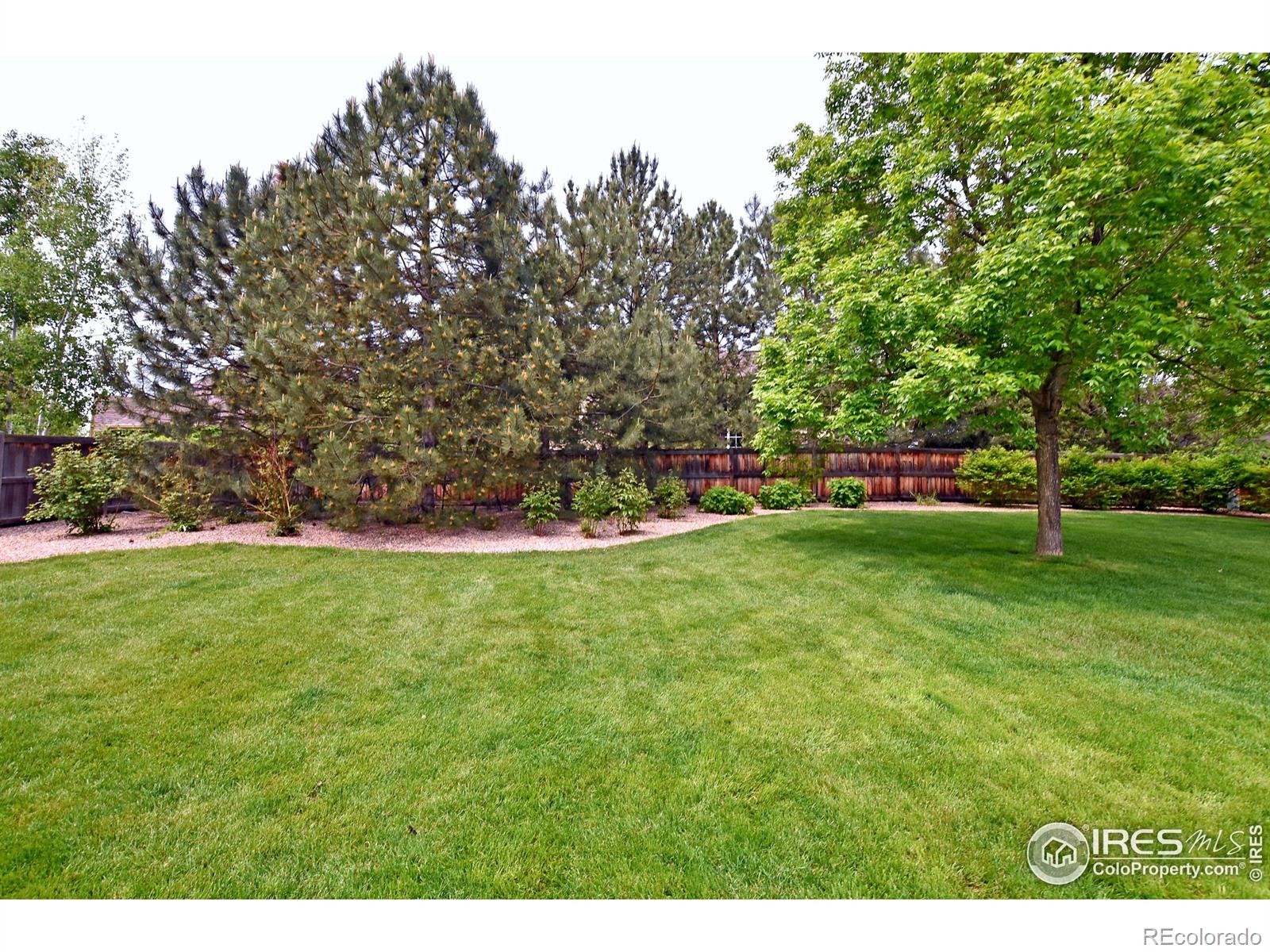 MLS Image #27 for 2715  treasure cove road,fort collins, Colorado