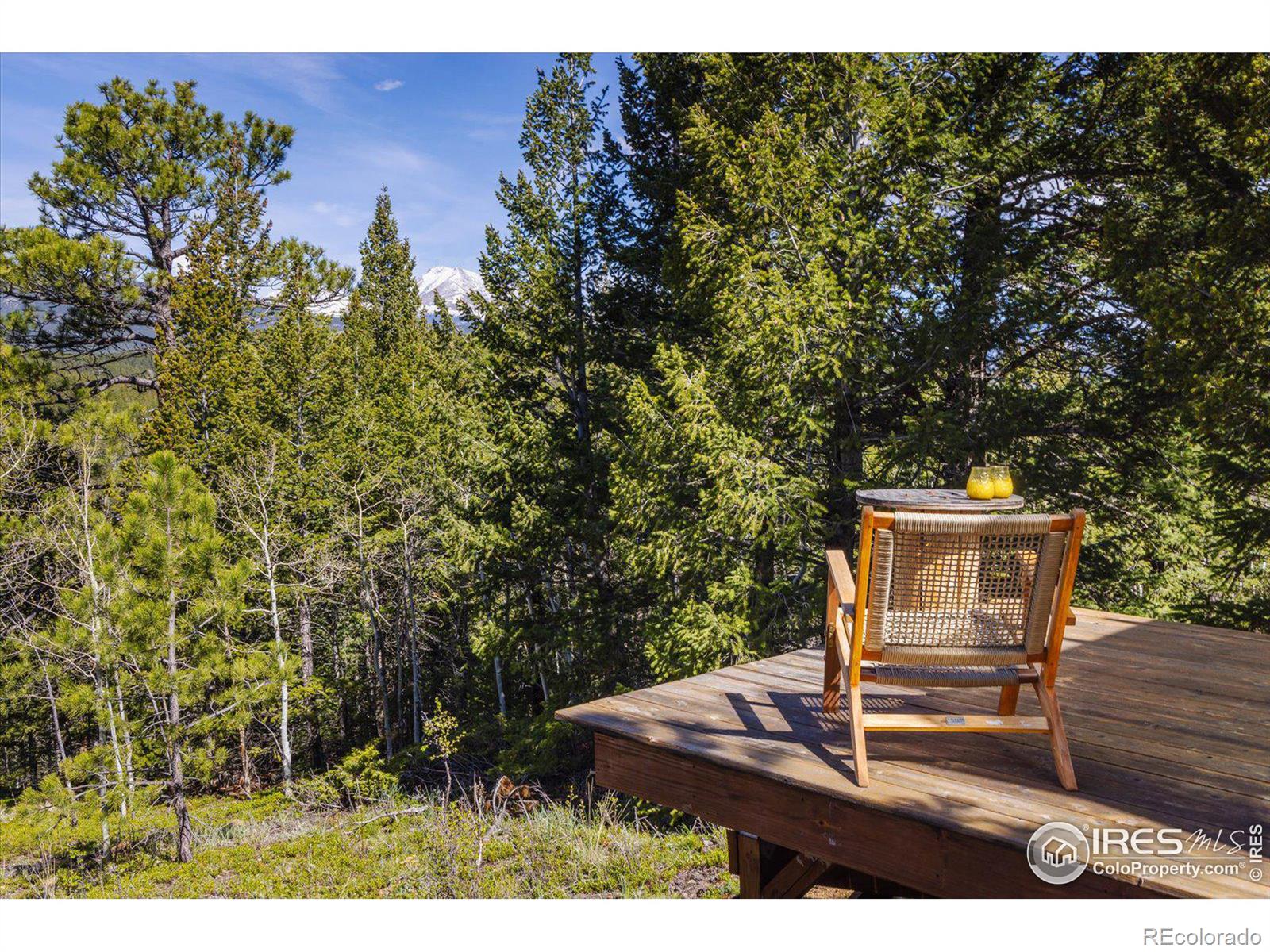 MLS Image #14 for 88  skyline view,ward, Colorado