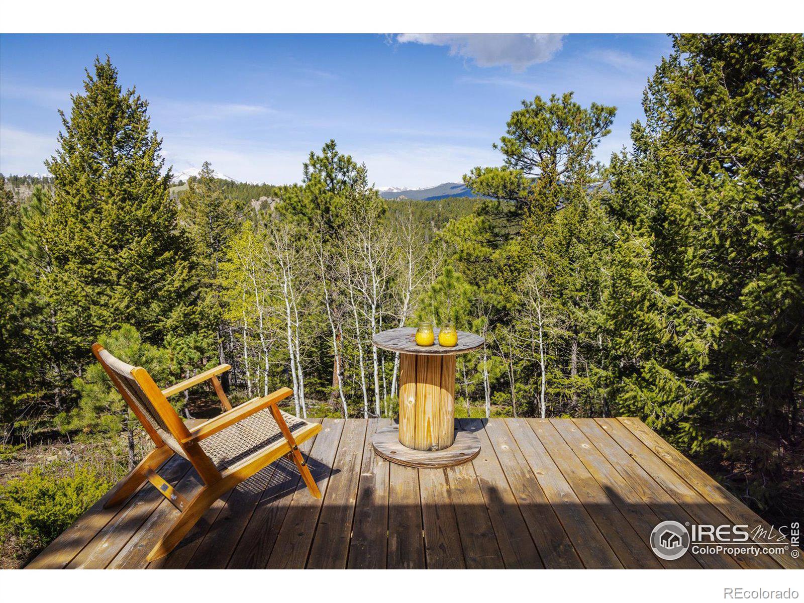 MLS Image #15 for 88  skyline view,ward, Colorado