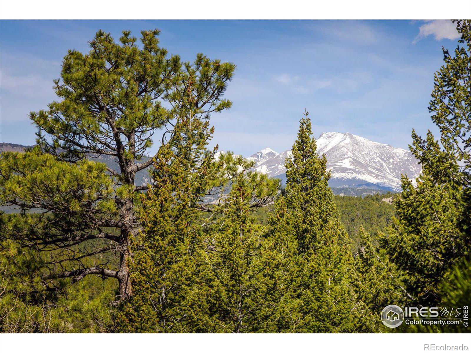 MLS Image #20 for 88  skyline view,ward, Colorado