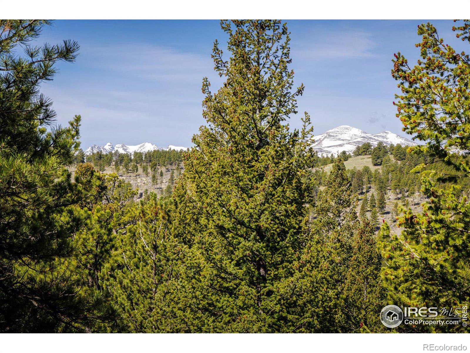 MLS Image #21 for 88  skyline view,ward, Colorado