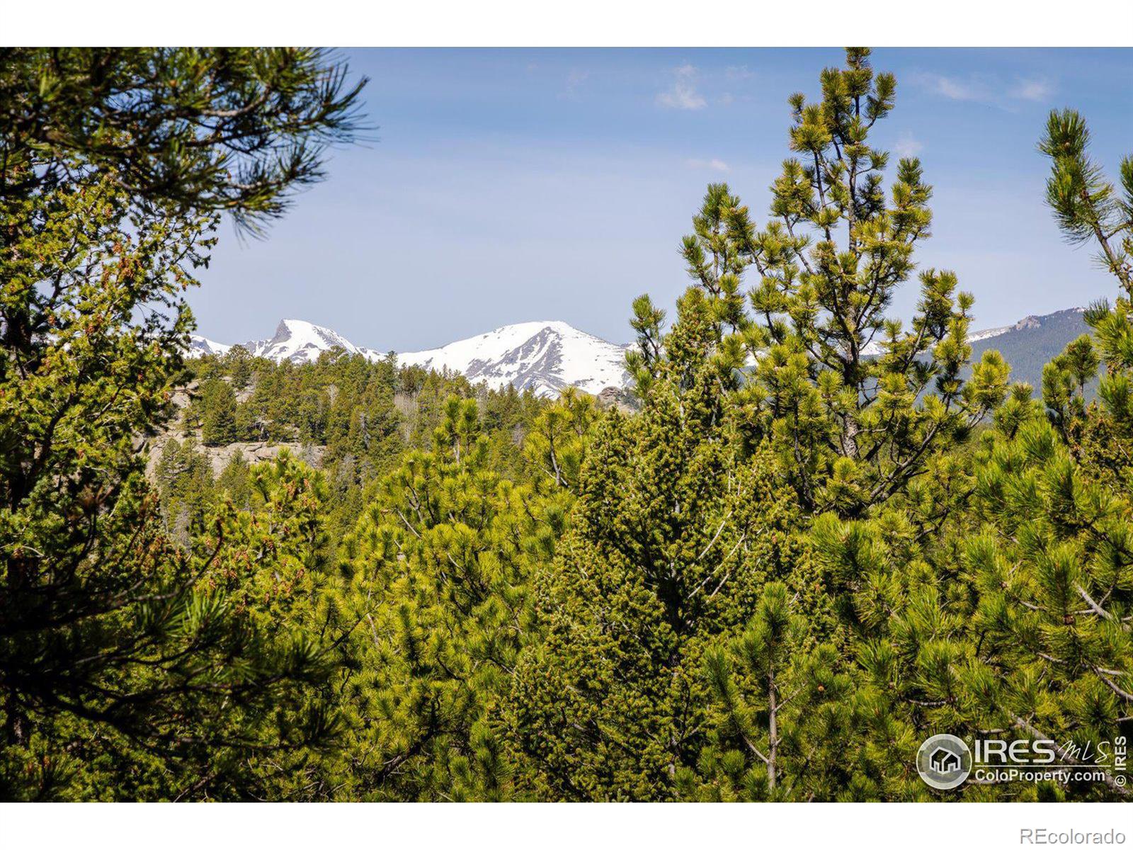 MLS Image #22 for 88  skyline view,ward, Colorado