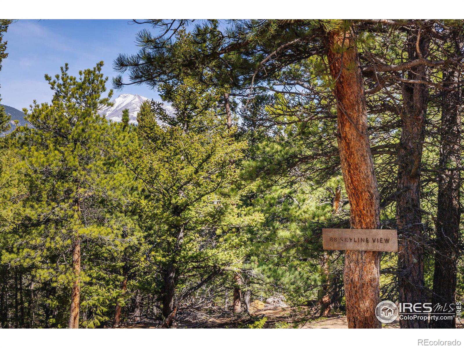 MLS Image #23 for 88  skyline view,ward, Colorado